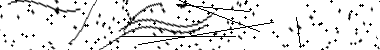 Captcha Image - Please verify you're human